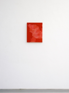 RO-HGS9 (010409), 2009, Öl, Lack, Glasspiegel, MDF, 50 x 40 cm