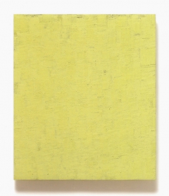 pideritzeisiggrüngelb, januar – november 2005, 89 x 76 cm, eitempera + ölfarbe auf holz